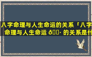 八字命理与人生命运的关系「八字命理与人生命运 🌷 的关系是什么」